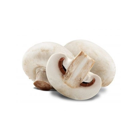 copy of Champignons